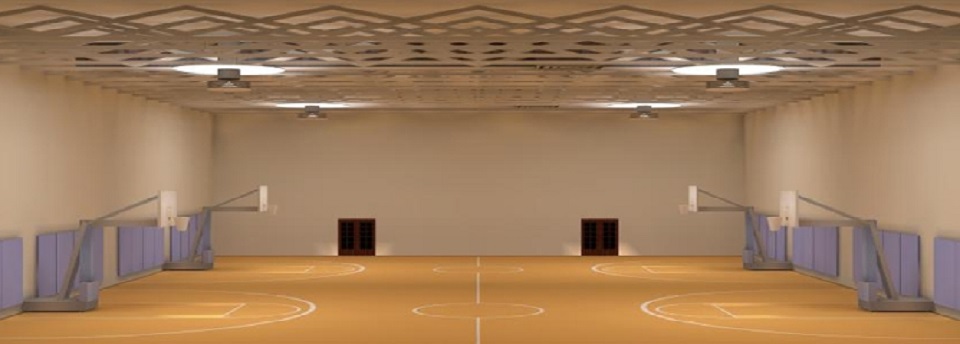 Superior Lighting /<br/>SCHOOLS AND GYMNASIUMS